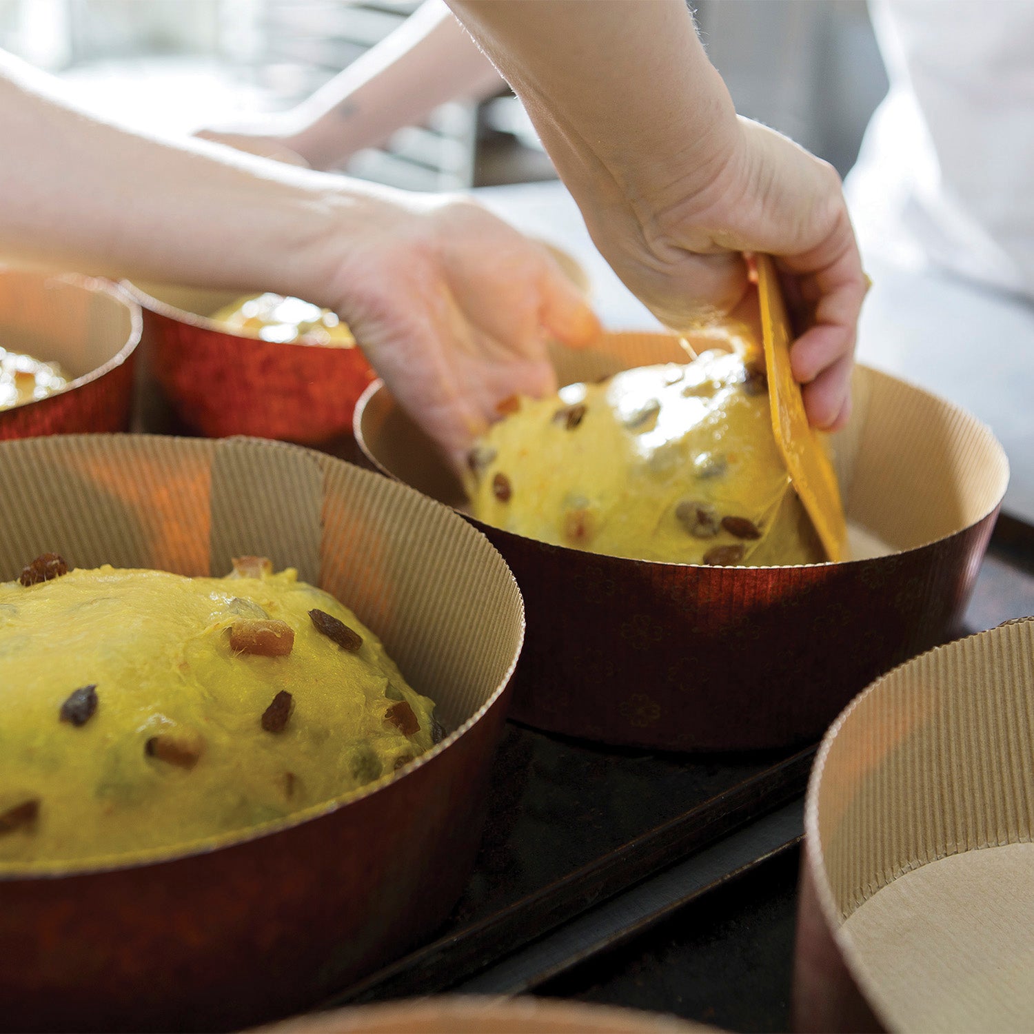 a picture of  Fruit Panettone on makers and merchants website