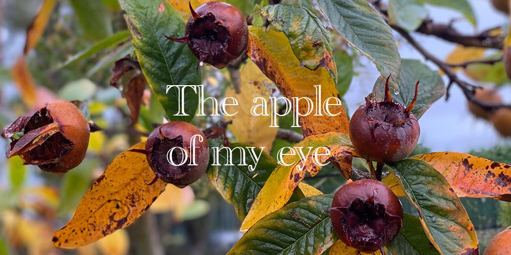 The apple of my eye