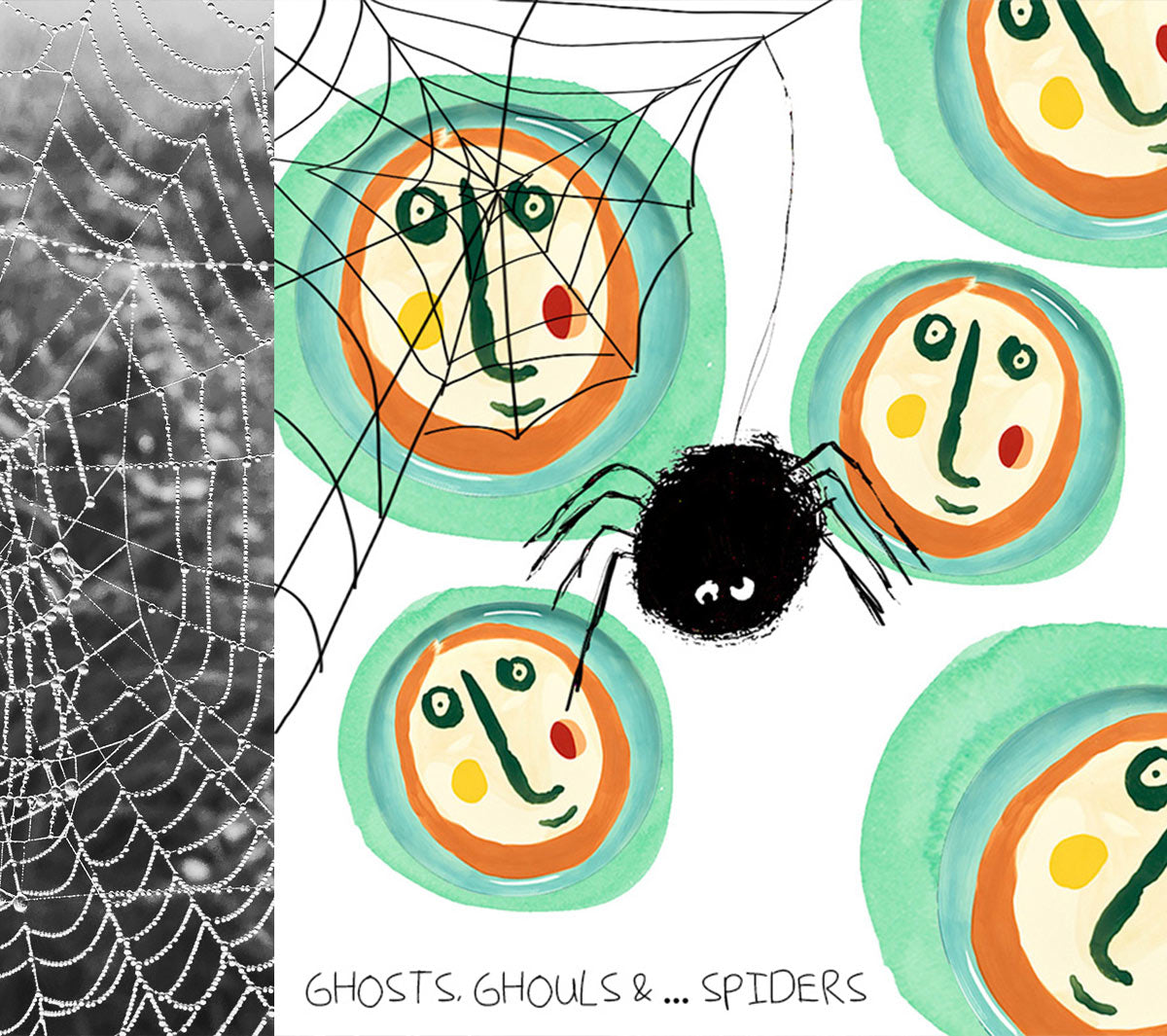 Reasons to love spiders...