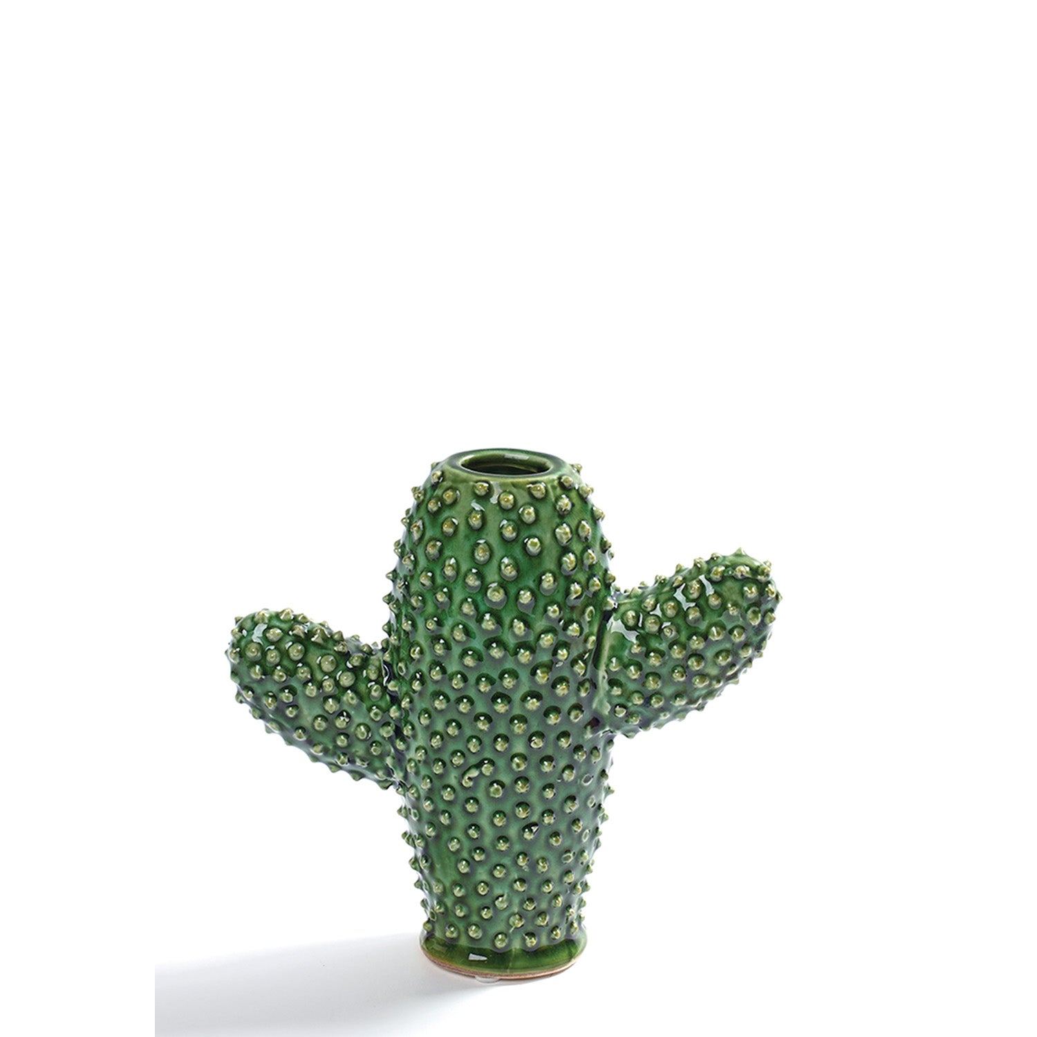 Cactus Vase Small