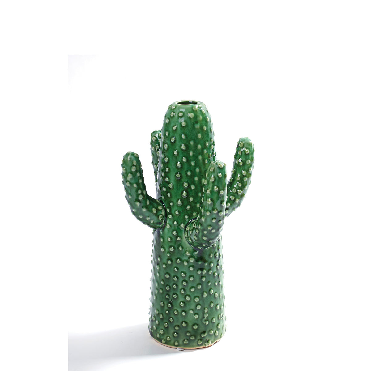 Cactus Vase Medium