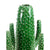 Cactus Vase Extra Large