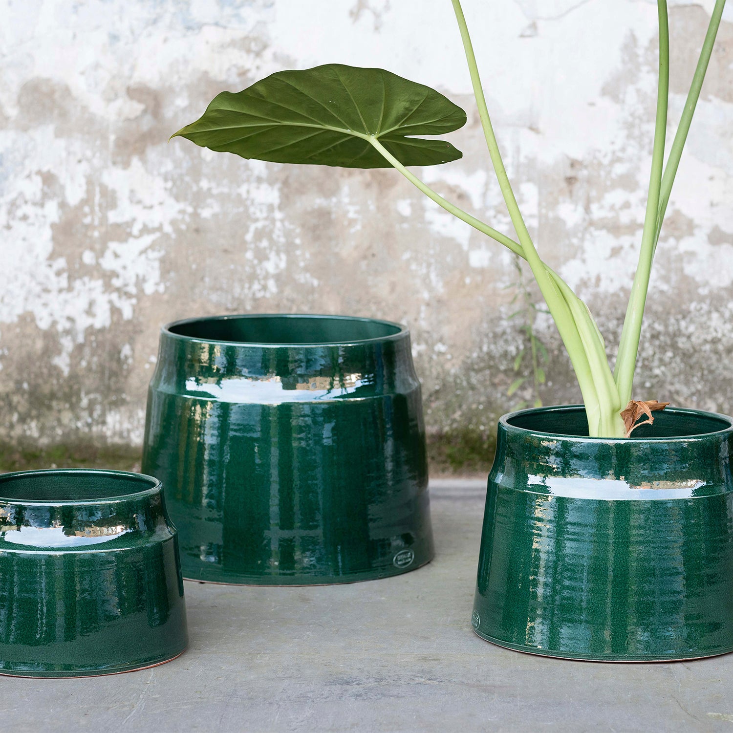 serax plant pot Planter Size 6